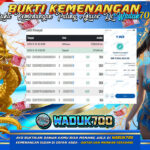 BUKTI JACKPOT SLOT WILD BOUNTY SHOW DOWN TERPERCAYA DI INDONESIA TGL 20-12-2025