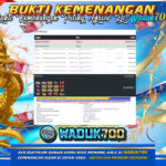 BUKTI JACKPOT SLOT WILD WEST GOLD TERPERCAYA DI INDONESIA TGL 19-02-2026
