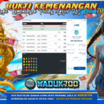 BUKTI JACKPOT SLOT STARLIGHT PRINCESS  TERPERCAYA DI INDONESIA TGL 12-02-2026